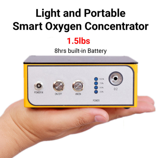 Mini Portable Oxygen Concentrator